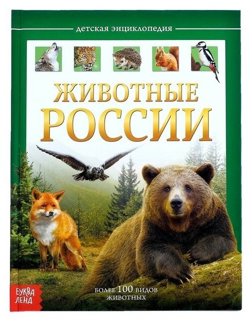 Детская энциклопедия Буква-ленд в твердом переплете, "Животные России", 48 страниц