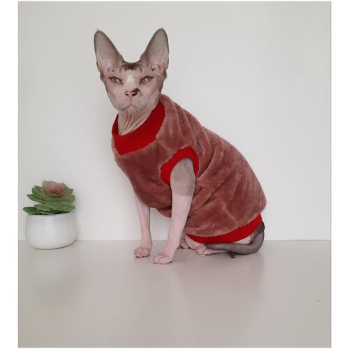 Толстовка, свитер, шуба для кошек сфинкс, размер 35 (длина спины 35см), цвет коралл / Одежда для кошек сфинкс / одежда для животных