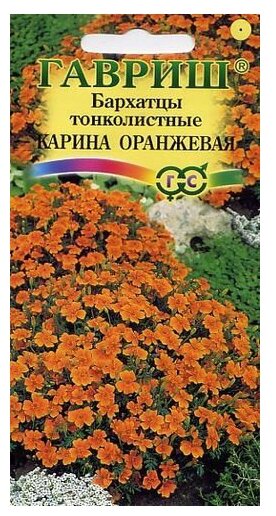 Семена Гавриш Бархатцы тонколистные (тагетес) Карина оранжевая 005 г