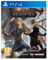 Игра для Xbox ONE Pillars of Eternity II: Deadfire