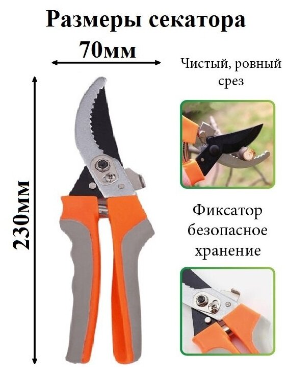 Секатор универсальный для сада и огорода X-PERT, 230мм - фотография № 2