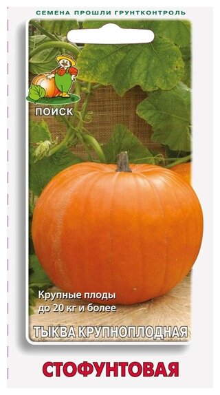 Семена ПОИСК Тыква крупноплодная Стофунтовая 10 шт.