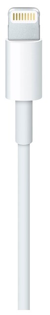 Кабель Apple USB - Lightning (ME291ZM/A) 0.5 м белый фото 3