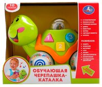 Каталка-игрушка Умка Обучающая черепашка (B655-H04009-R1) зеленый