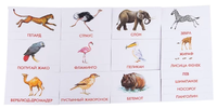 Набор карточек Маленький гений Животные Африки 21x15 см 16 шт.