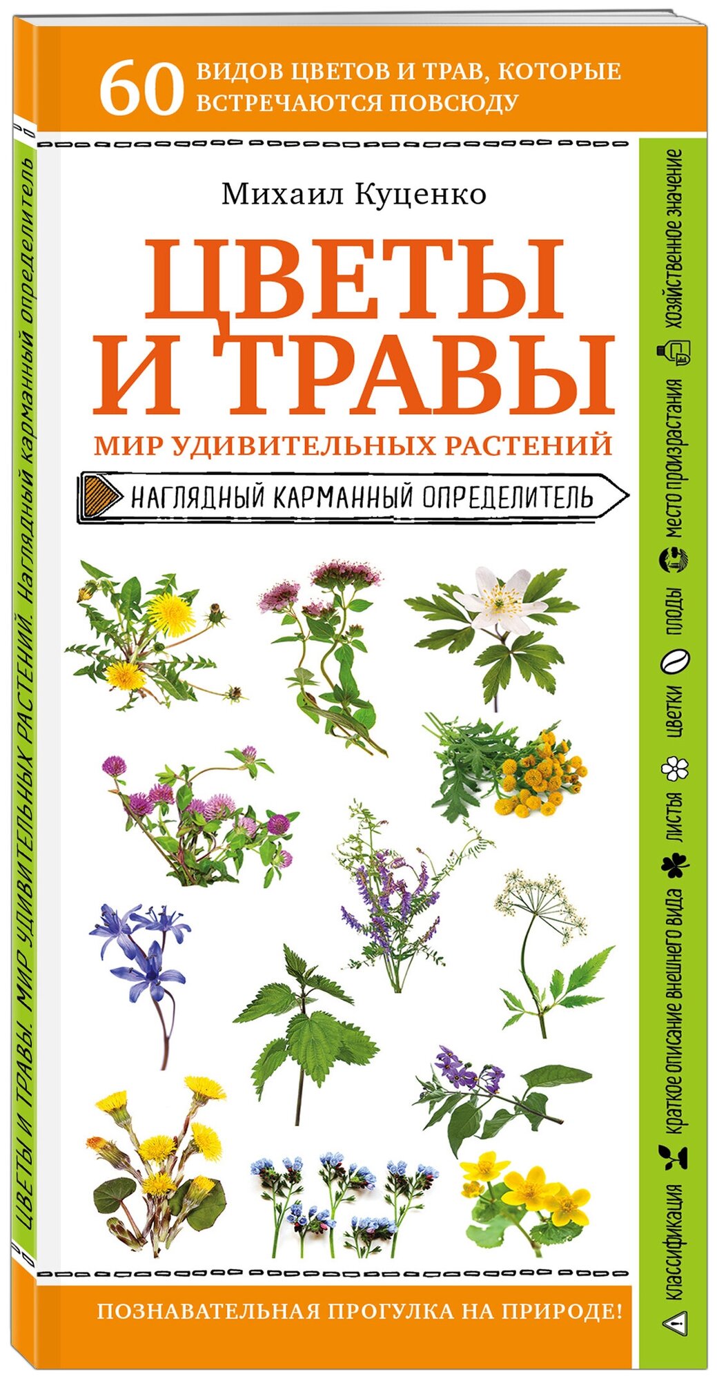 Куценко М. Е. Цветы и травы. Мир удивительных растений