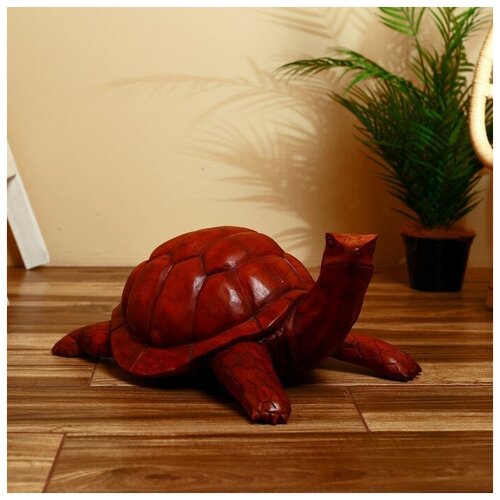 Черепаха 50*20 см, дерево суар