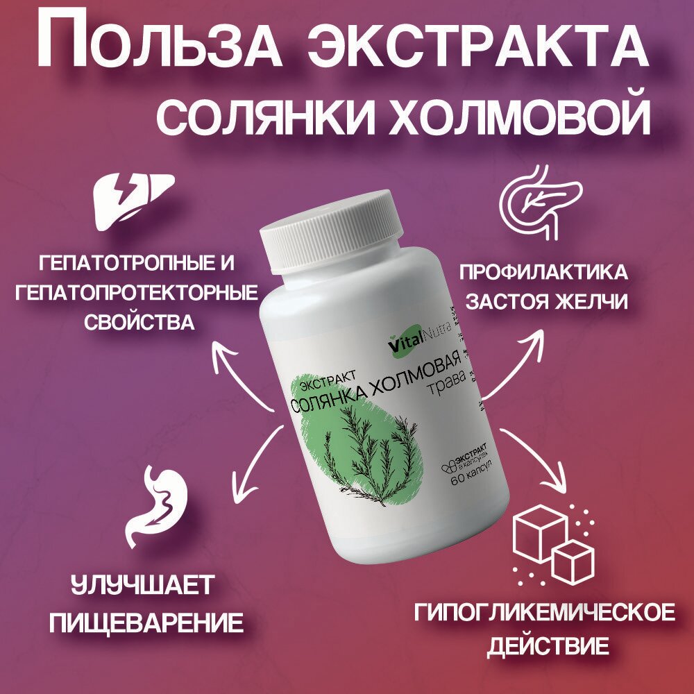 Картинки Солянка холмовая экстракт для печени, гепатопротектор, очищение и детокс от VitalNutra, 60 капсул