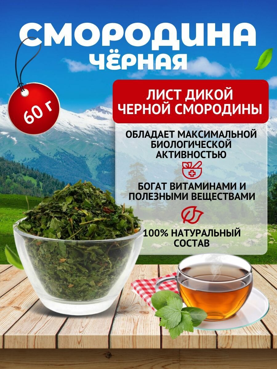 Лист черной смородины дикой травяной чай для иммунитета лечение гастритов атеросклероза травы Алтая