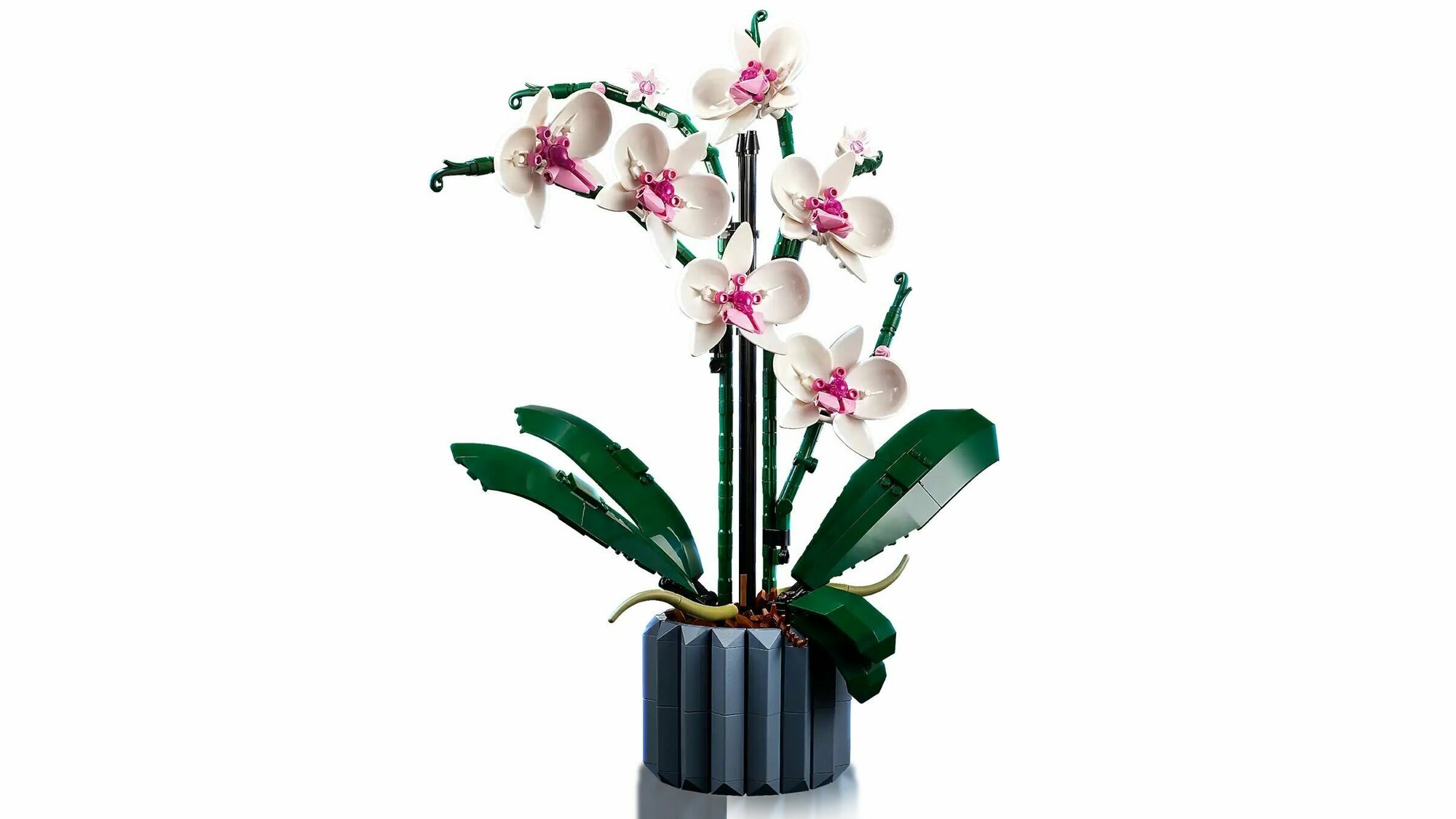 Конструктор LEGO Botanical "Орхидея" 10311, развивающий, 608 деталей — фото 1