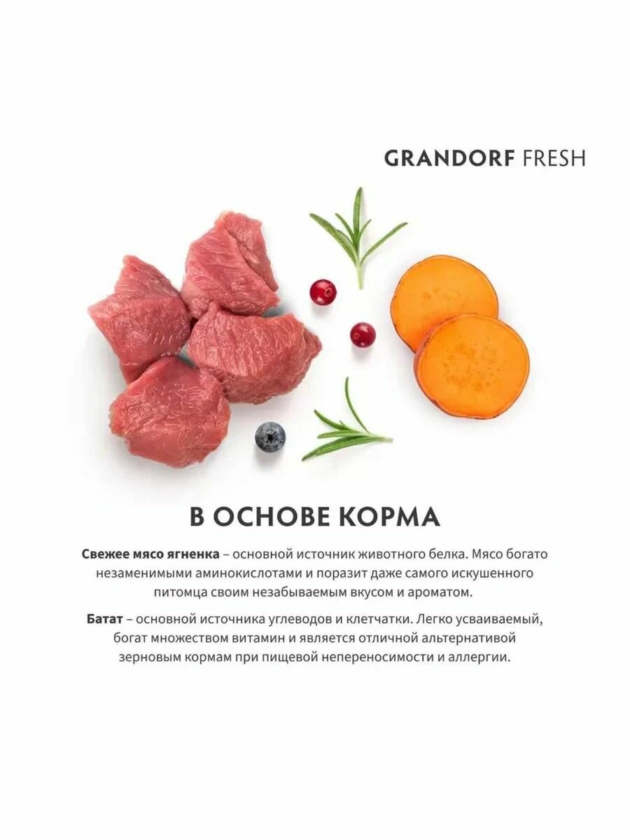 Сухой корм для кошек Grandorf Fresh Cat Lamb&Sweet Potato ягненок батат 2 кг — фото 1