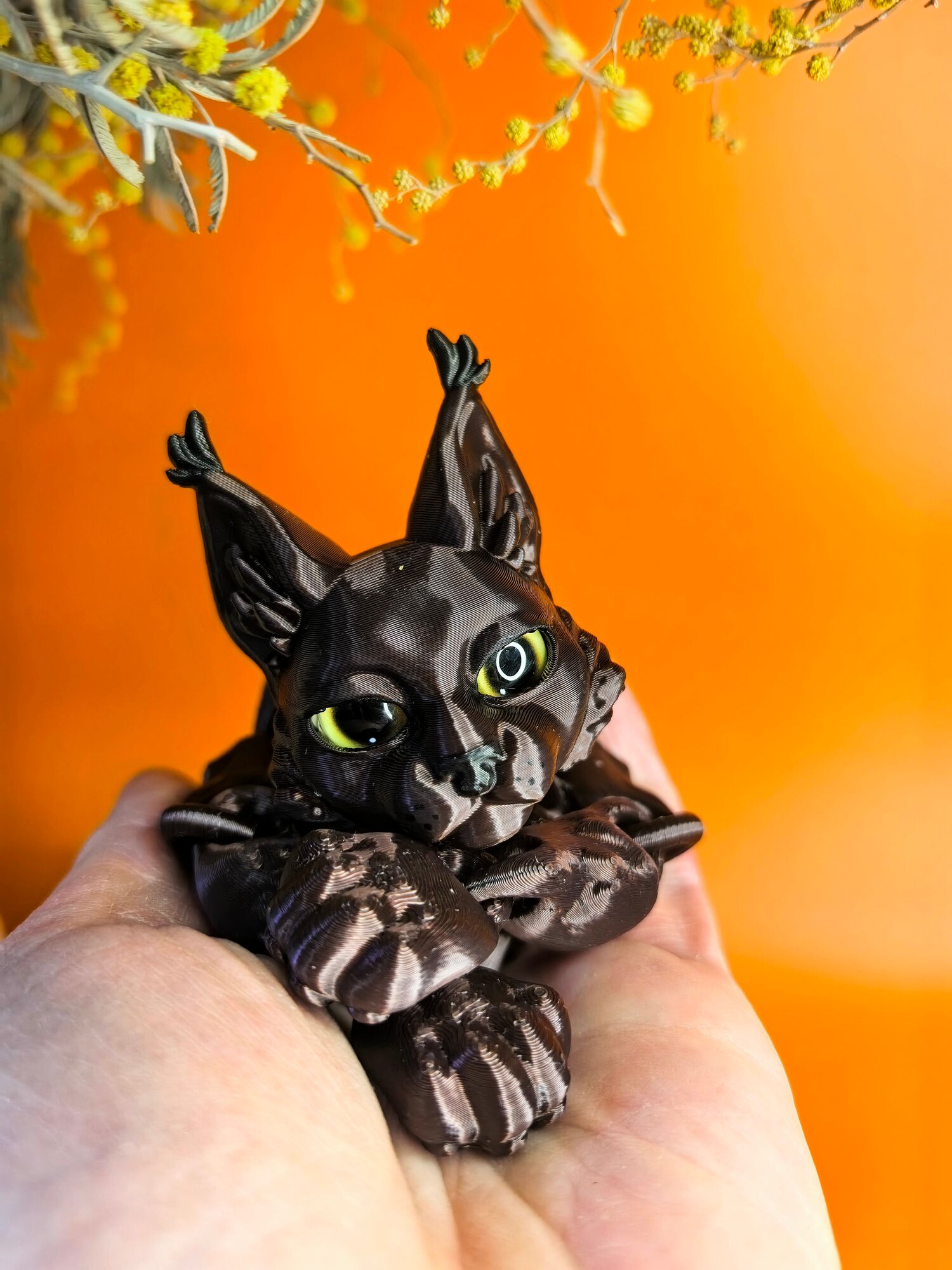 Мейн-кун подвижный