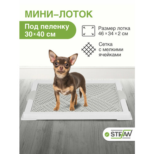 Туалет лоток STEFAN (Штефан) для собак мелких пород с сеткой, под пеленку (XS) 46x34x2 см, белый, BP1040