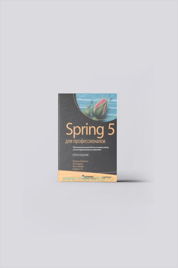 Spring 5 для профессионалов | Средства программирования