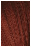 Мусс Schwarzkopf Professional IGORA EXPERT 5-88 Light Brown Red Extra, 100 мл