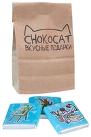 Шоколад CHOKOCAT FunCat 