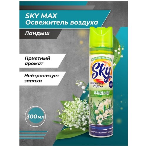 Освежитель воздуха SKY MAX Ландыш 1 шт.