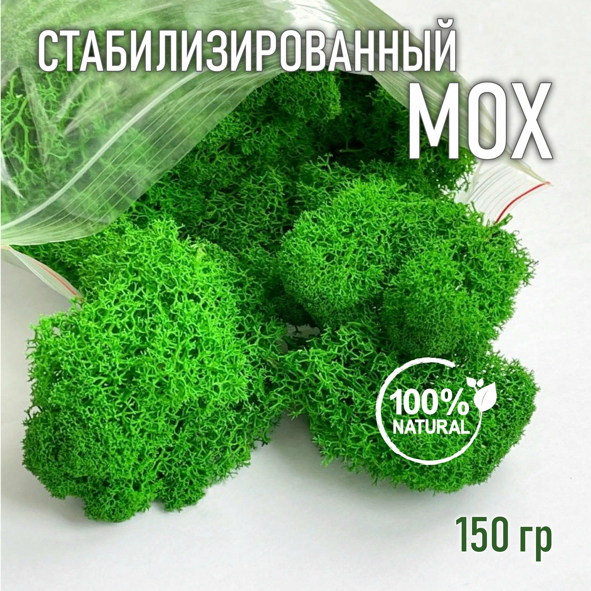 Мох стабилизированный 150 гр цвет зеленый, Ягель мох для декора moss