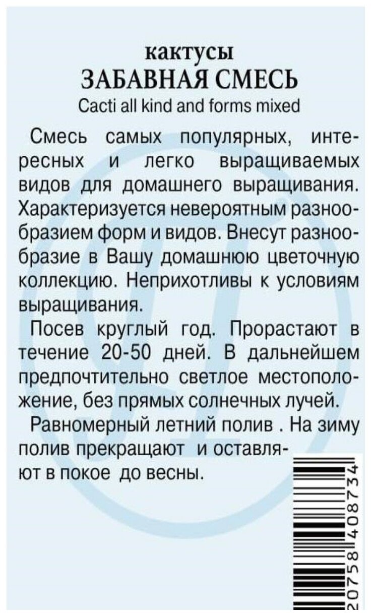 Кактусы «Забавная смесь» Леруа Мерлен - фото №2