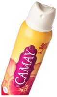 Дезодорант-антиперспирант спрей Camay Dynamique Grapefruit 150 мл