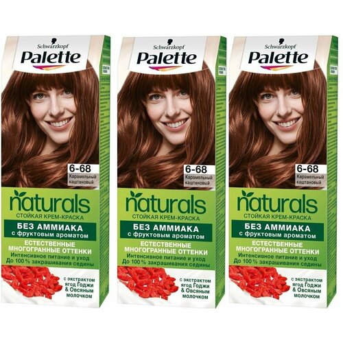 PALETTE Краска для волос Фитолиния 568/ NATURALS 6-68 Карамельный каштан, набор 3шт