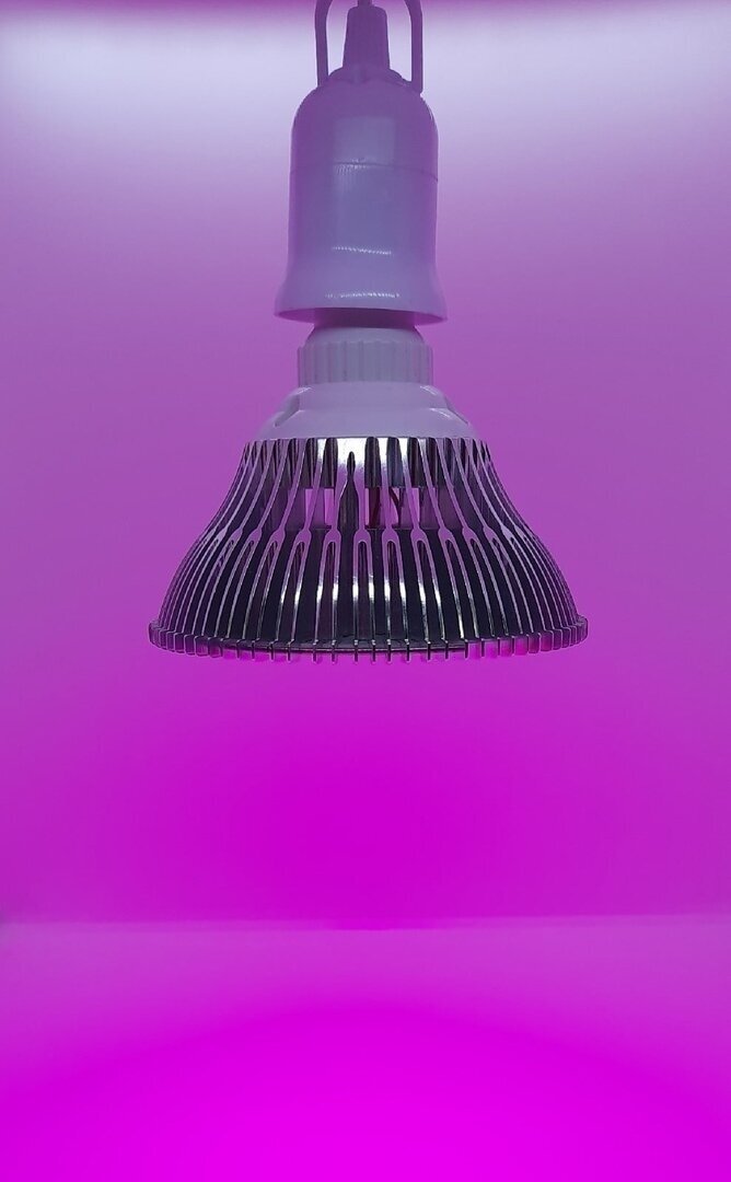 Светодиодный светильник( фитолампа)"BIG Тюльпан"100Вт, 150 диодов,450-660нм,4500К, Е27 - фотография № 2