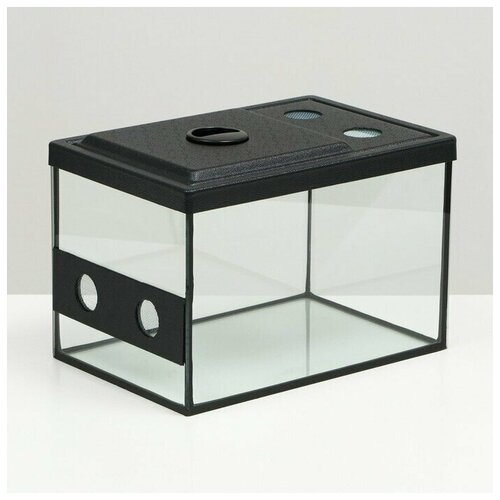 Улиточник с сквозной вентялицией 12 литров 30х20х20 см 5770₽