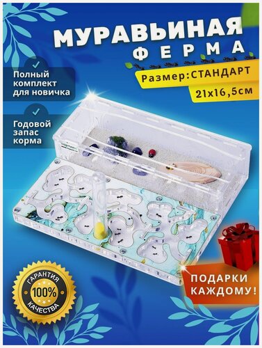 Изображение товара Стандартная муравьиная ферма максимальный комплект