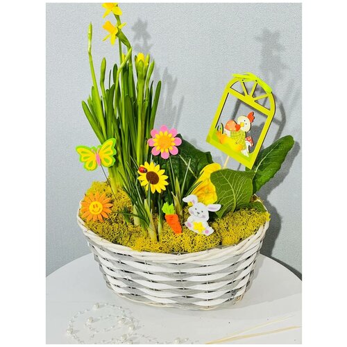Живые цветы в кашпо / Весенняя композиция / Нарцисс и крокусы / Подарок / Первоцветы