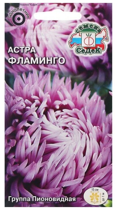 Семена цветов цветок Астра Фламинго (китайская пионовидная нежно-розовая) . Евро 02 г