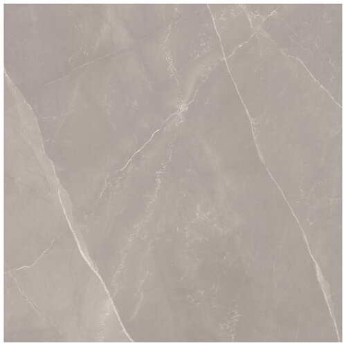 Керамогранит STN Ceramica Tango Grey Satin Rect. 59.5x59.5 CA5FTANGDDAA