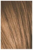 Мусс Schwarzkopf Professional IGORA EXPERT 7-5 Medium Blonde Gold, 100 мл