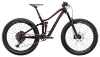 Горный (MTB) велосипед TREK Fuel EX 9.8 Womens (2019) cobra blood/trek black 14