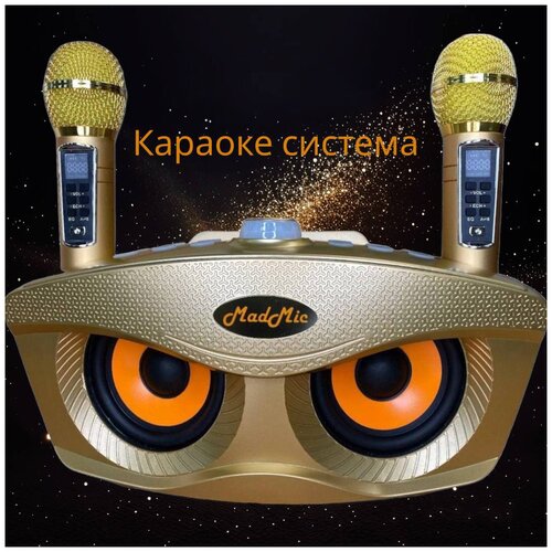 Купить Портативная караоке система "Сова" 306 Plus с функцией bluetooth ...
