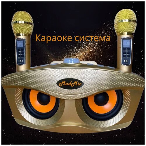 Портативная караоке система "Сова" 306 Plus с функцией bluetooth (золотая)