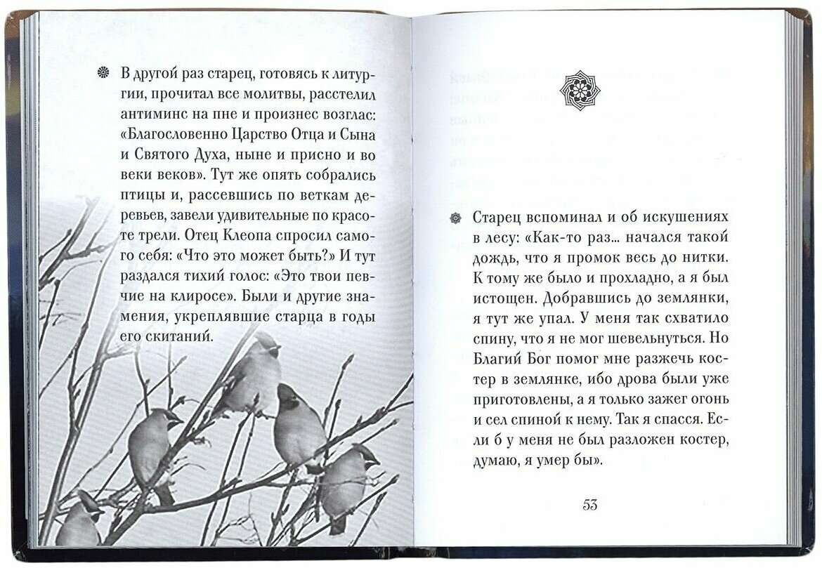 Архимандрит Клеопа (Илие) (Рожнева Ольга Леонидовна) - фото №4