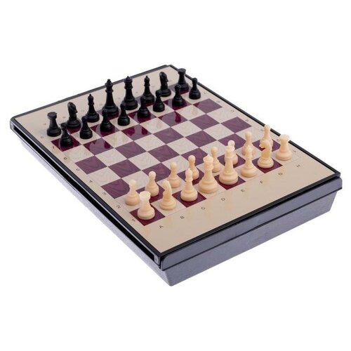 Шахматы магнитные, с ящиком, 24 х 18 см шахматы магнитные с ящиком доска 24 х 18 см