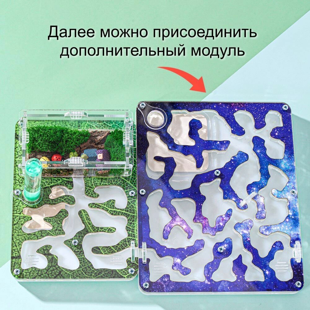Муравьиная ферма Стартовая "Тропический Лес" + декор и корм в подарок! Формикарий для муравьев — фото 1