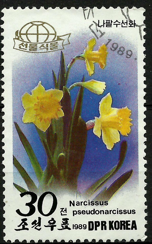 (1989-062) Марка Северная Корея 