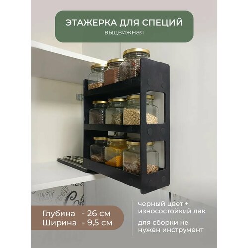 Выдвижной органайзер для специй и приправ