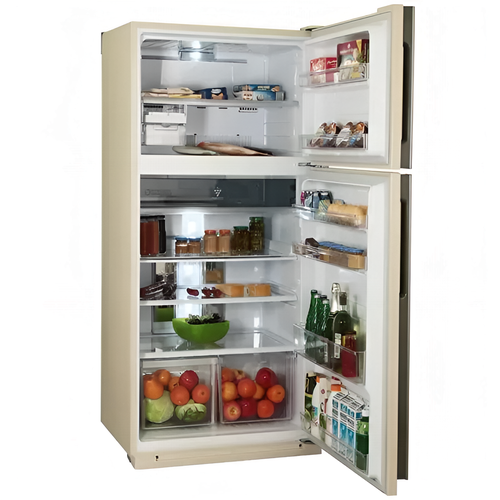 Sharp SJ-XE55PMBE beige