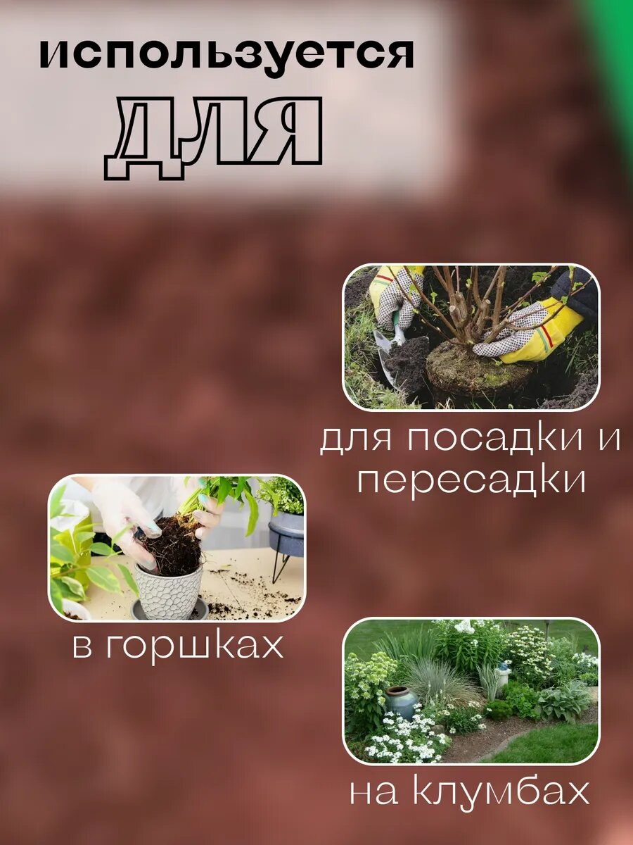 Совки Садовые Совок садовый с деревянной ручкой, сталь, для посадки растений