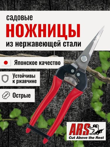 Изображение товара Ножницы садовые ARS 300L-DX, прямые лезвия из нержавеющей стали, японское качество, длина 190 мм