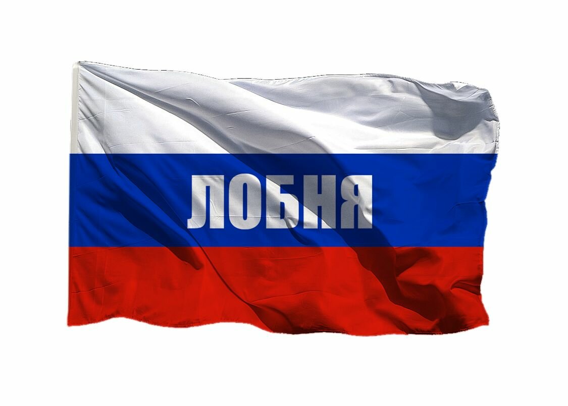 Флаг Лобни на шёлке, 90х135 см - для ручного древка