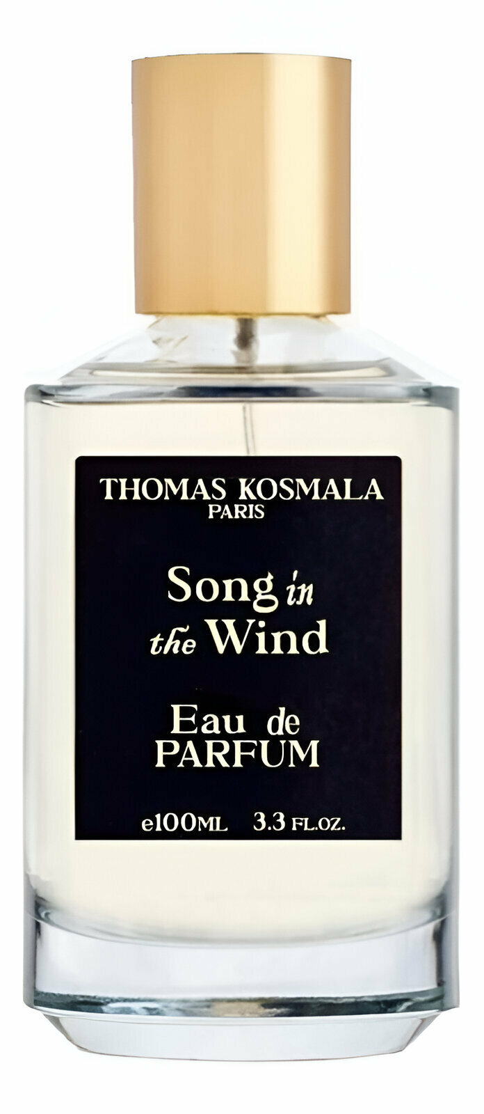 Парфюмерная вода Thomas Kosmala унисекс Song In The Wind, 100 мл — фото 1