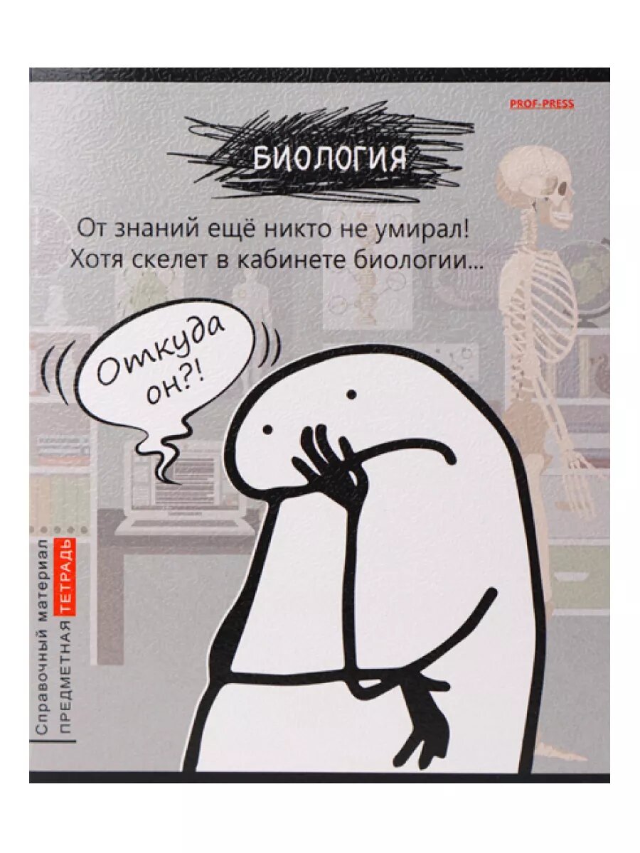 Набор предметных тетрадей Prof-Press "Школьные мемасики", A5, 48 л, 10 шт — фото 1