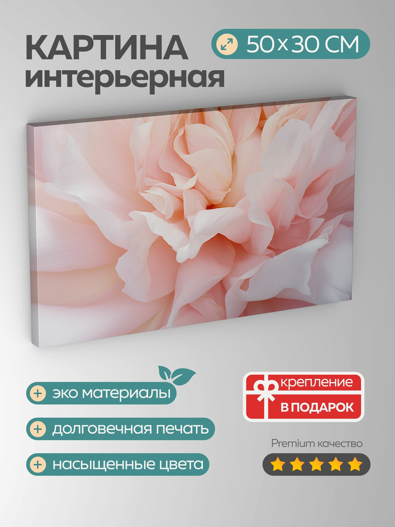 Картина на холсте интерьерная 50х30 см пион цветок крупный план детали лепестки цвета пастельные оттенки аромат