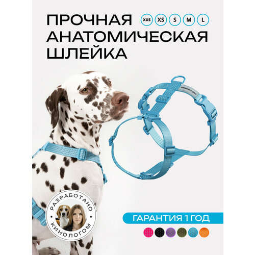 Шлейка для собак средних и крупных пород анатомическая размер М, Голубая, PRO COMFORT