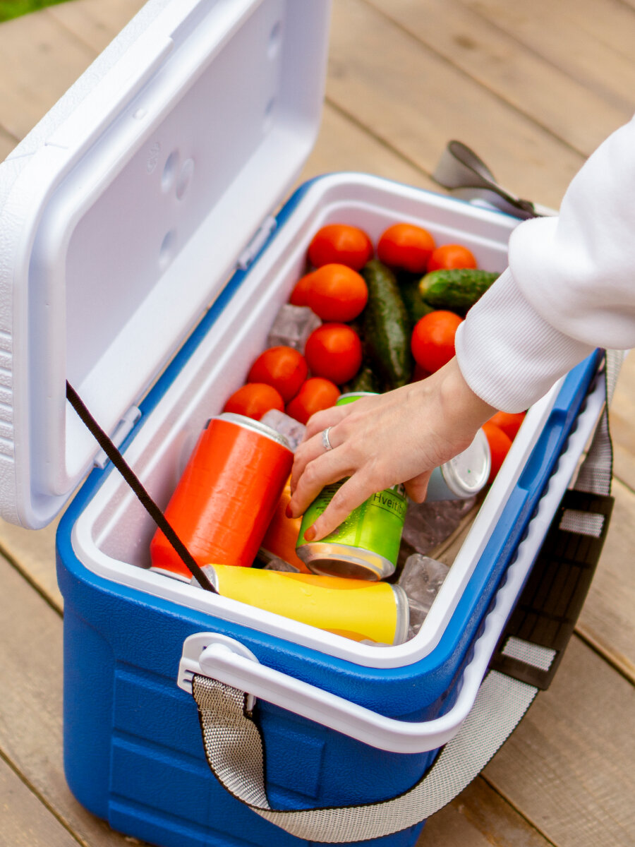 Термоконтейнер медицинский 20 литров/Арктика 2000 термобокс с ручкой и ремнем — фото 1