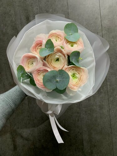 Изображение товара Букет из розовых ранункулюсов Леди с ветками эвкалиптом ( 7 шт), Монобукет из 7 кремовых ранункулюсов Ханой и веток эвкалипта